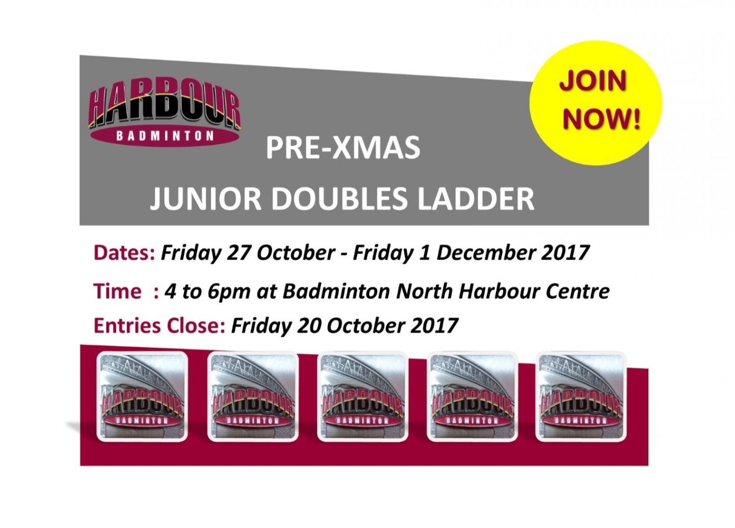 Jnr Ladder web